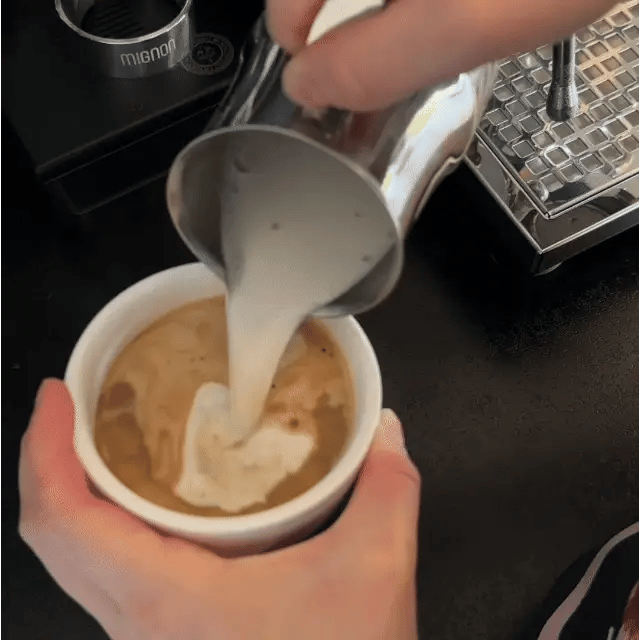 Impresora de Fotos para Café